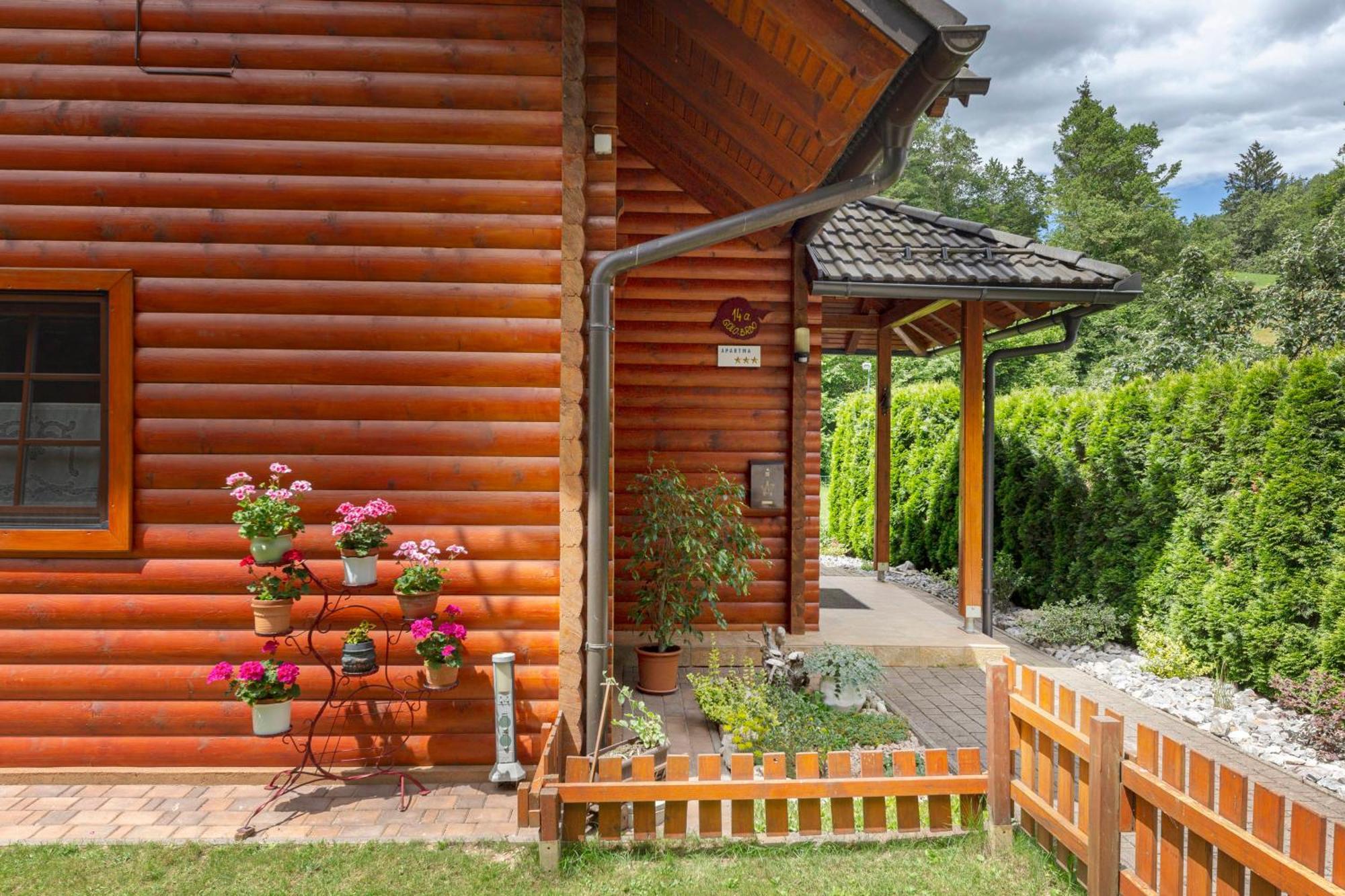Apartma Metka Medvode Extérieur photo