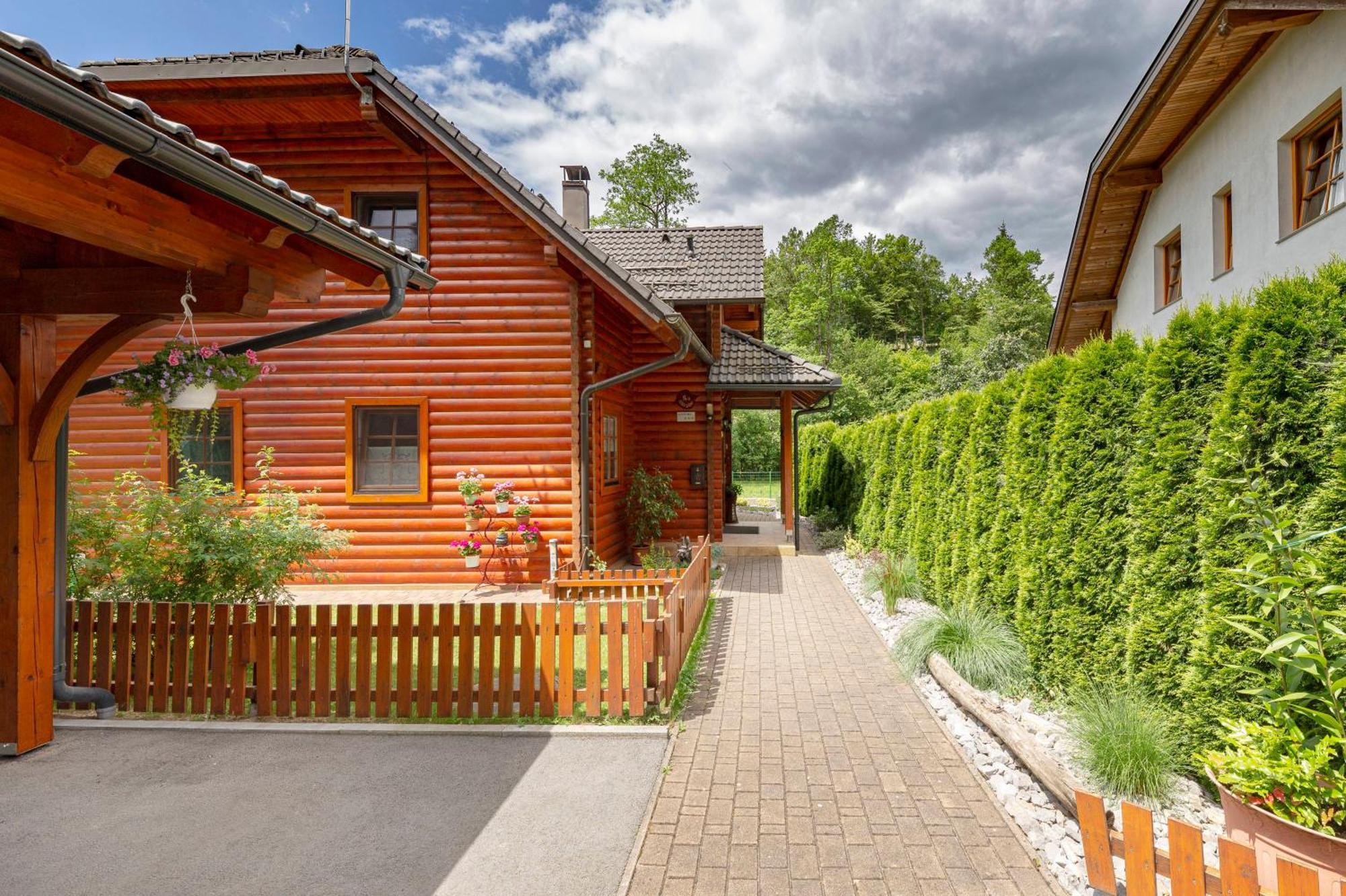Apartma Metka Medvode Extérieur photo