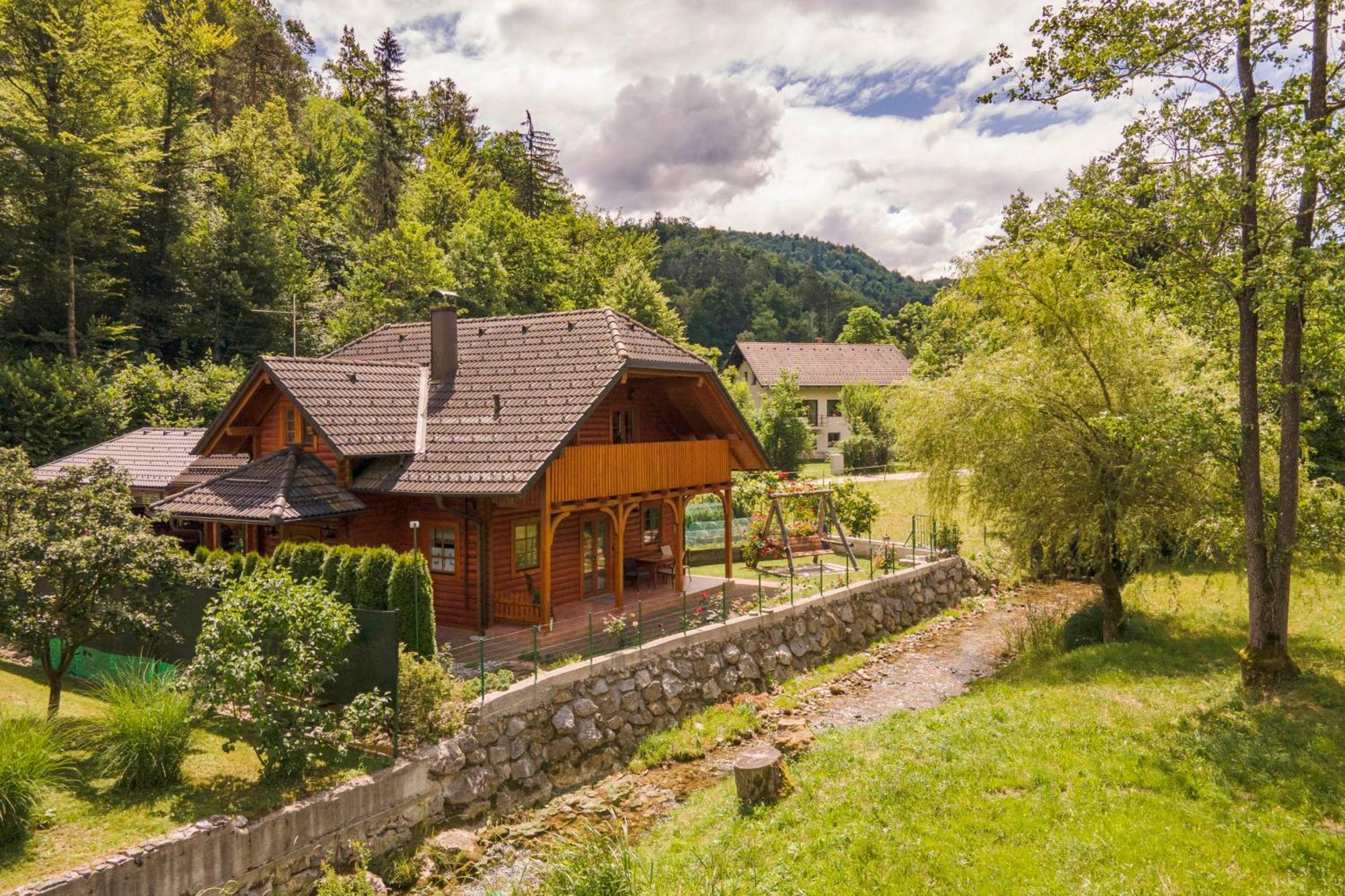 Apartma Metka Medvode Extérieur photo